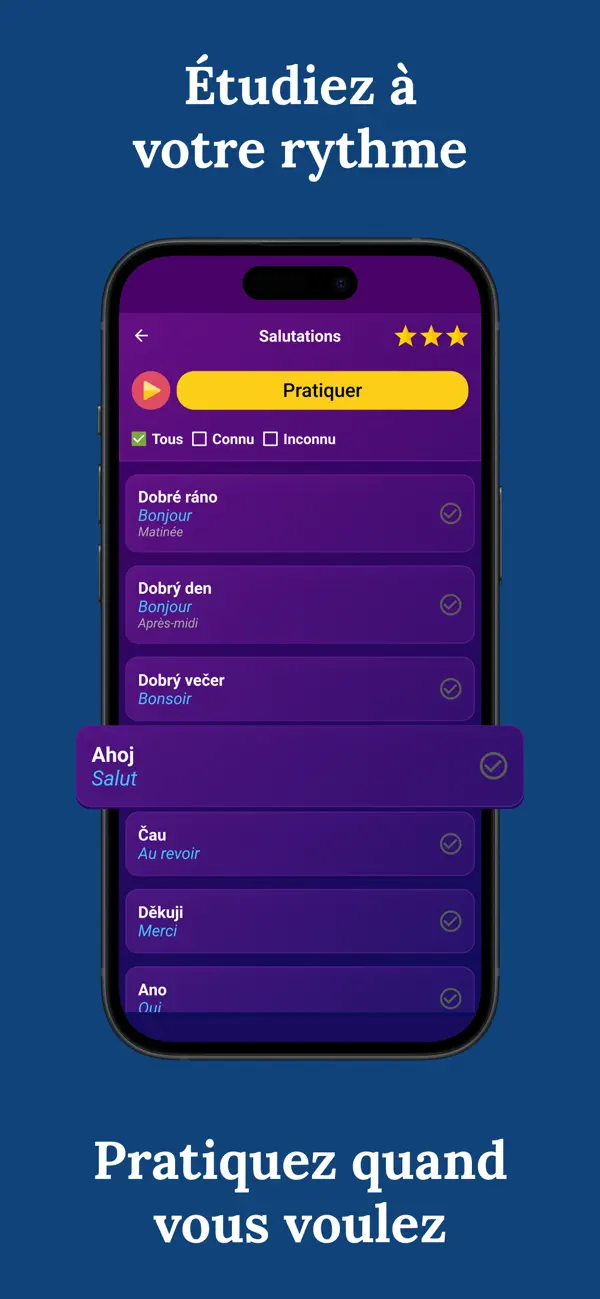 Screenshot #3 pour BNR: Apprendre le tchèque