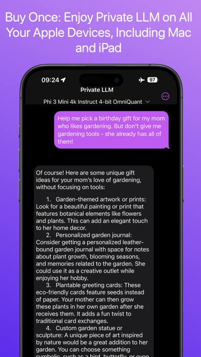 Private LLM - Local AI Chatbot Screenshot