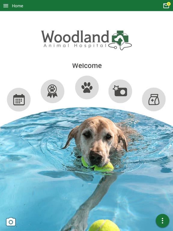Screenshot #4 pour Woodland AH