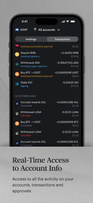 Copper screenshot 4