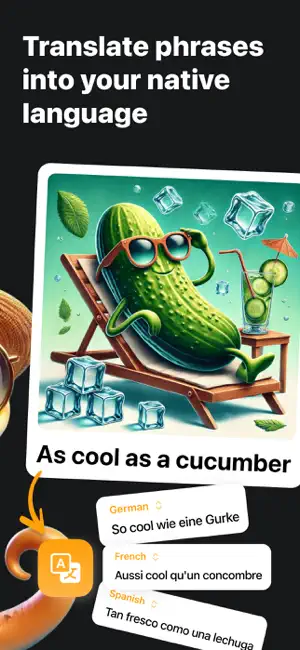 Idiom Catcher Advanced English screenshot 2