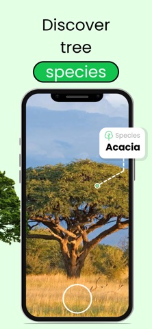 Tree Leaf Identifier: ID Trees Screenshot 2 of 4