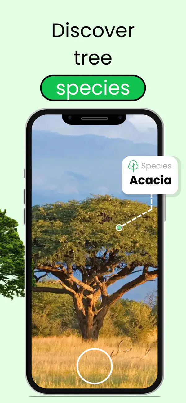 Screenshot #2 pour Tree Leaf Identifier: ID Trees
