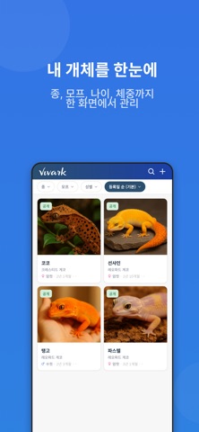 Vivark screenshot
