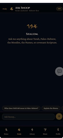 Snoop, A Messenger Screenshot 1 of 4