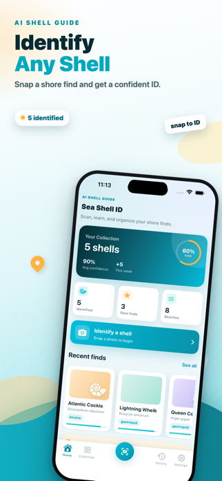 Sea Shell Identifier: Ocelexia Screenshot 1 of 6