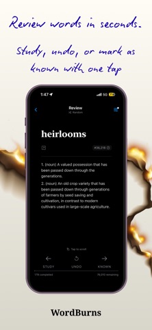 WordBurns screenshot