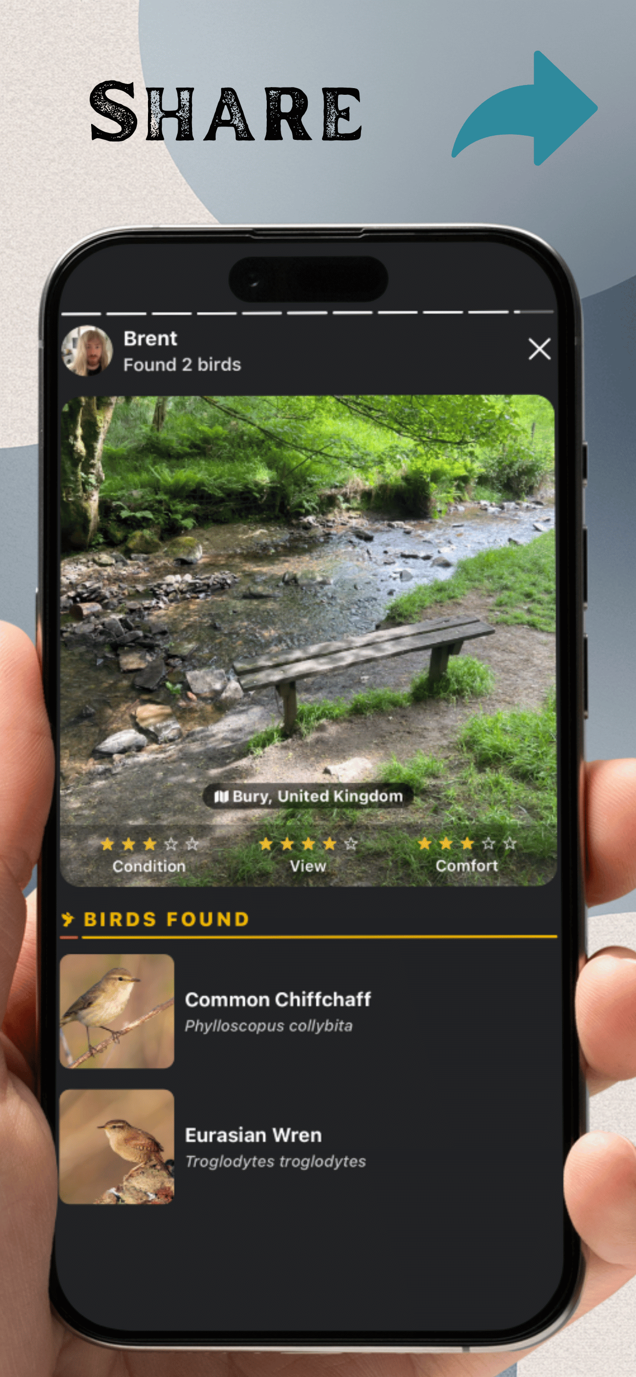 Benchmrk - Bench and Birds screenshot 5
