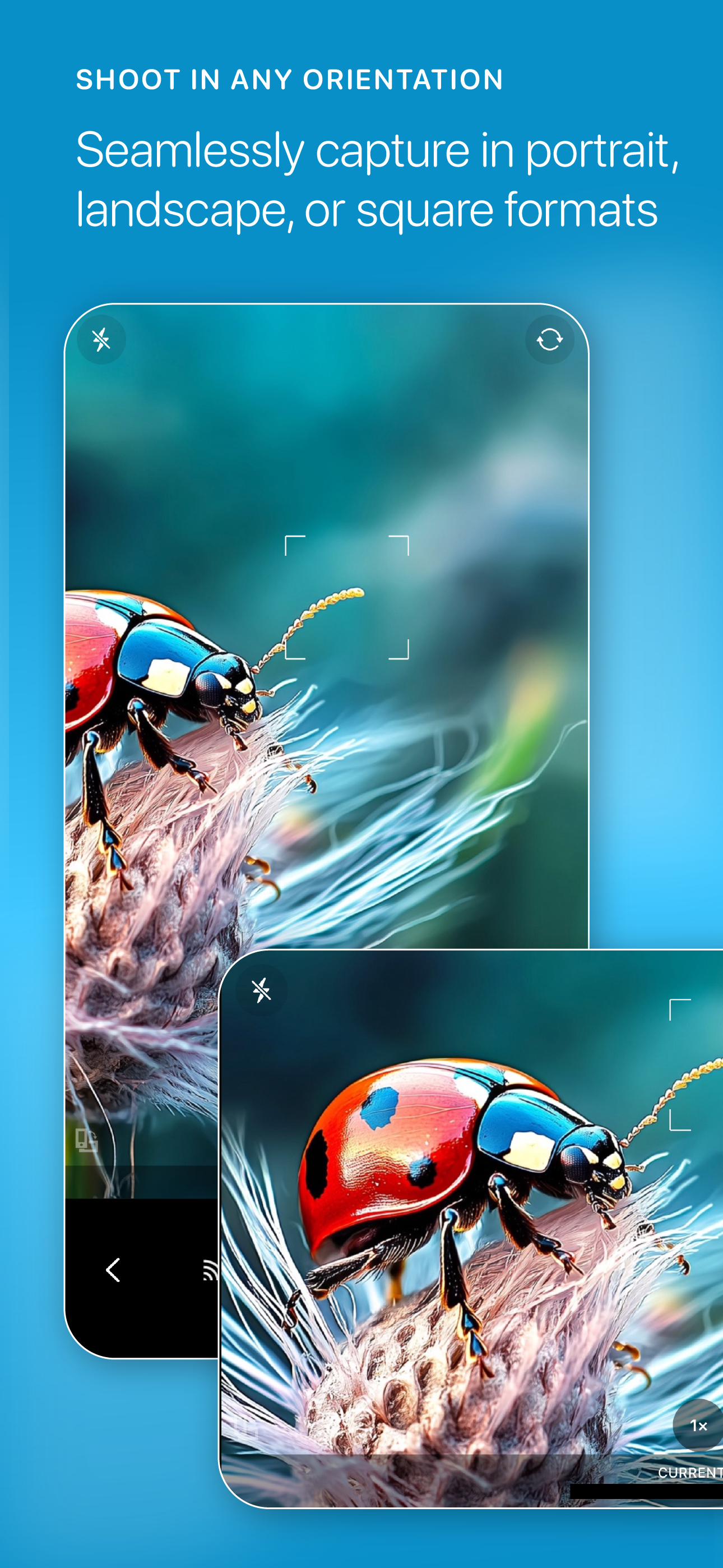 OSnap! Lapse & Motion screenshot 5