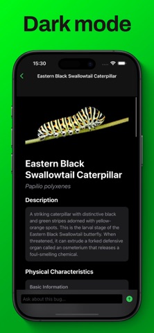 Bug Identifier - Insect ° Screenshot 5 of 5