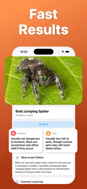 Spider Identifier: Scan AI screenshot 3