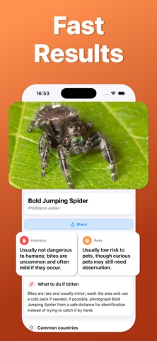 Spider Identifier: Scan AI Screenshot 3 of 5