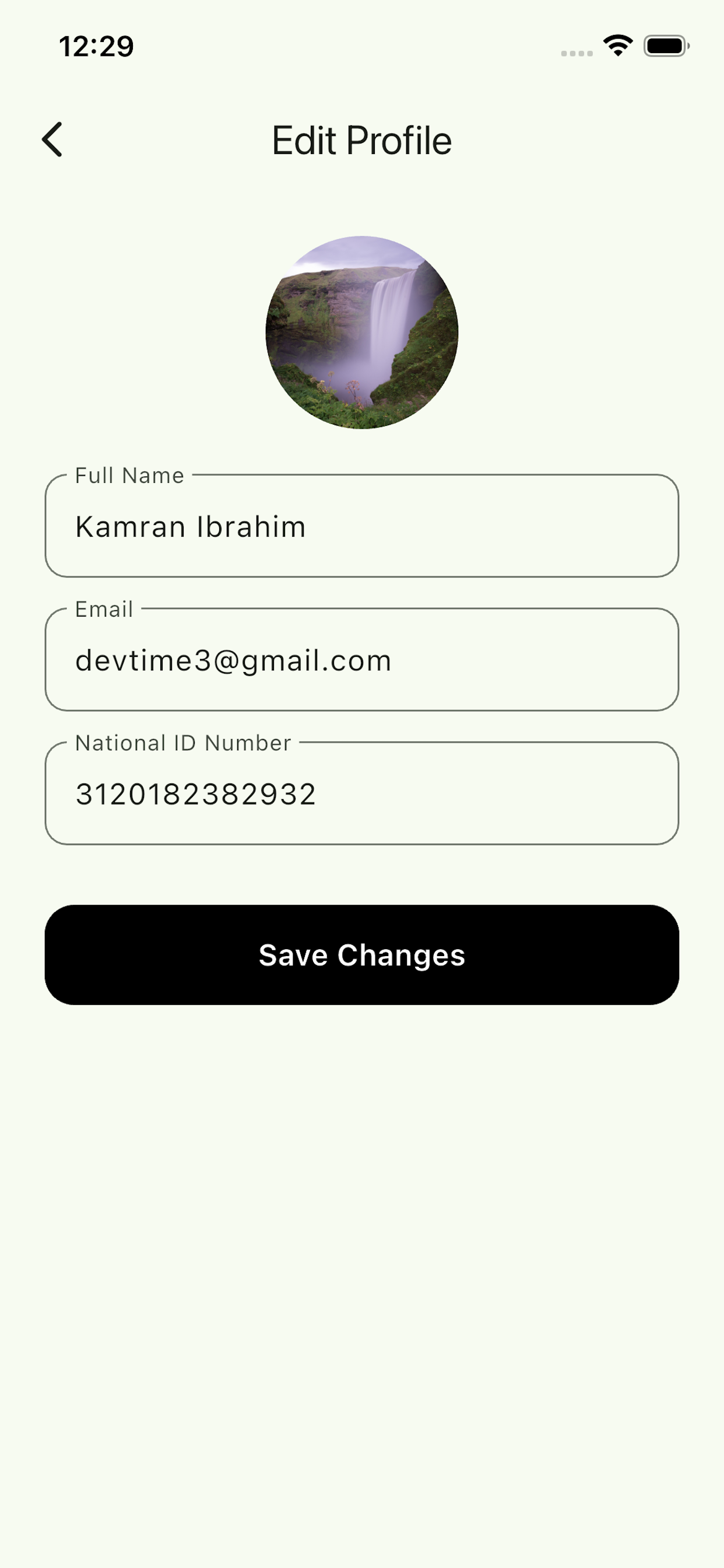 Caratell screenshot 4