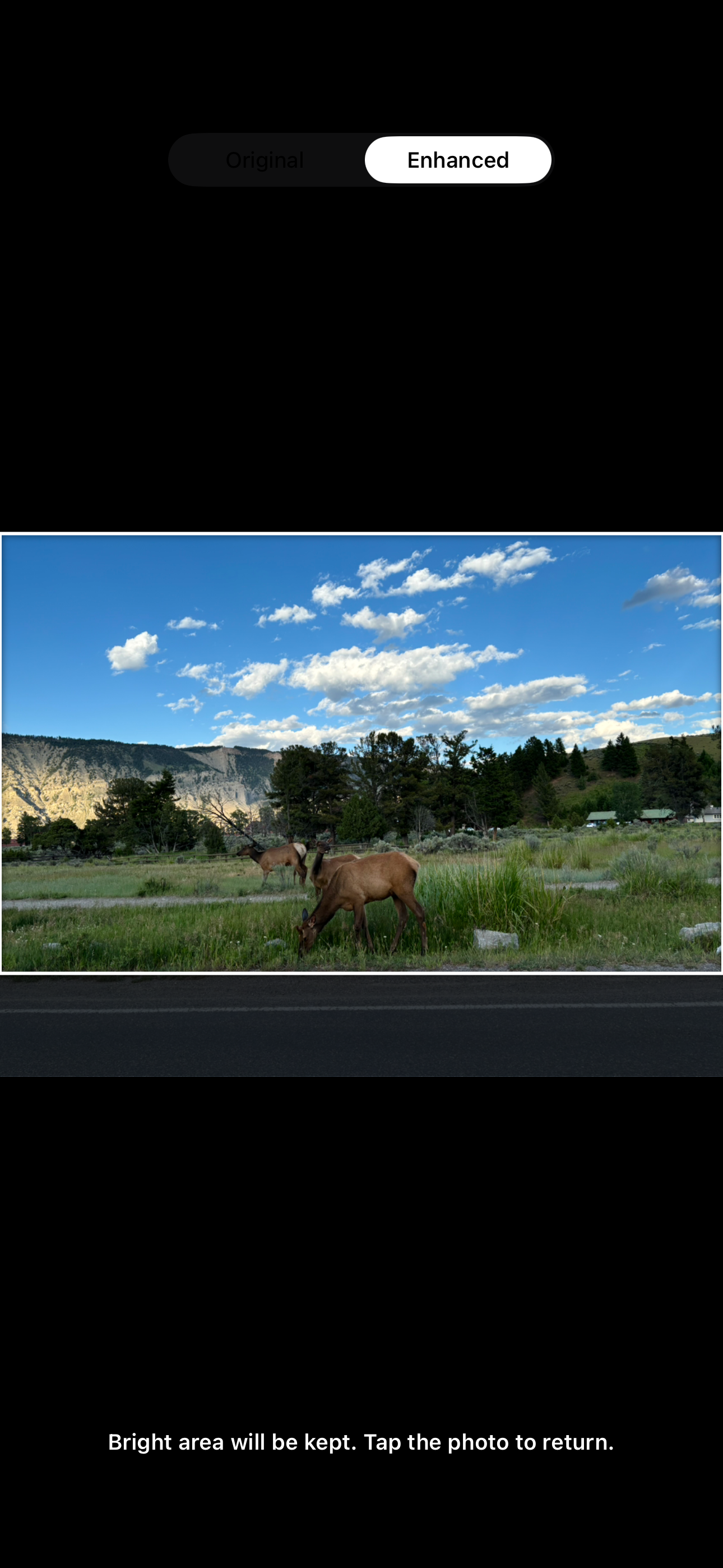 Pick & Crop AI Photo Assistant screenshot 3