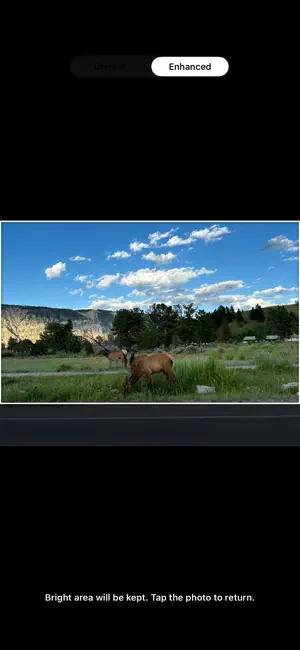 Pick & Crop AI Photo Assistant screenshot 3
