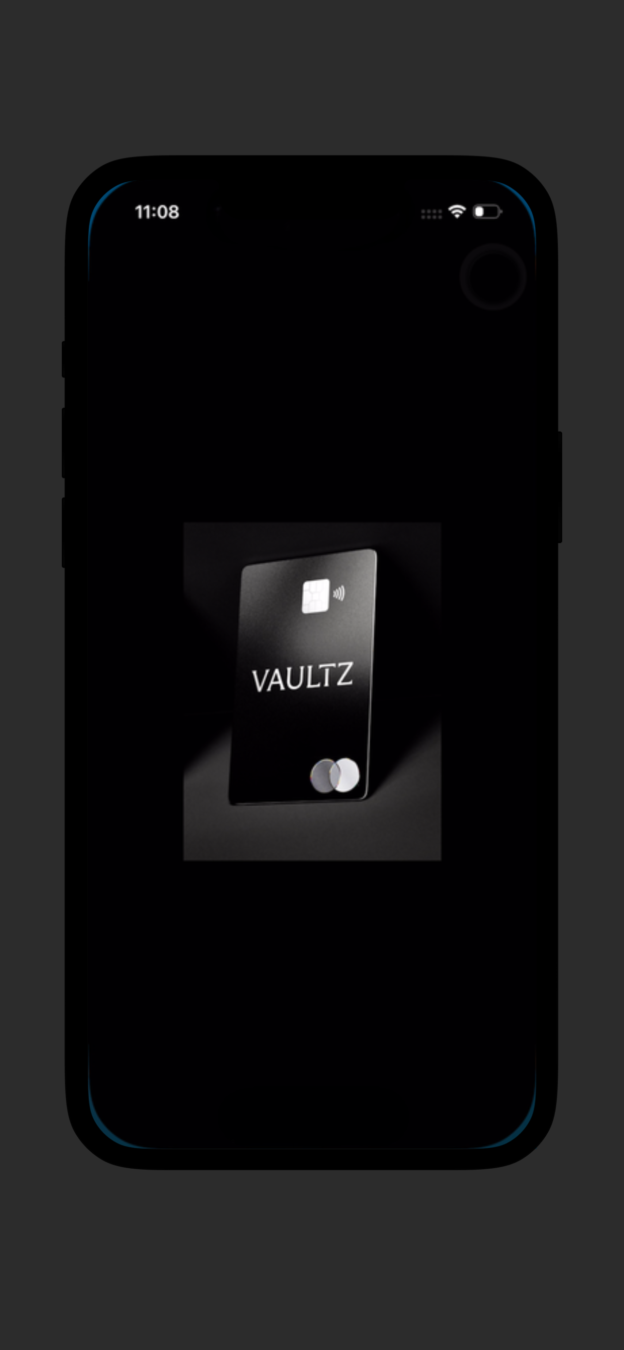 Vaultz screenshot 3