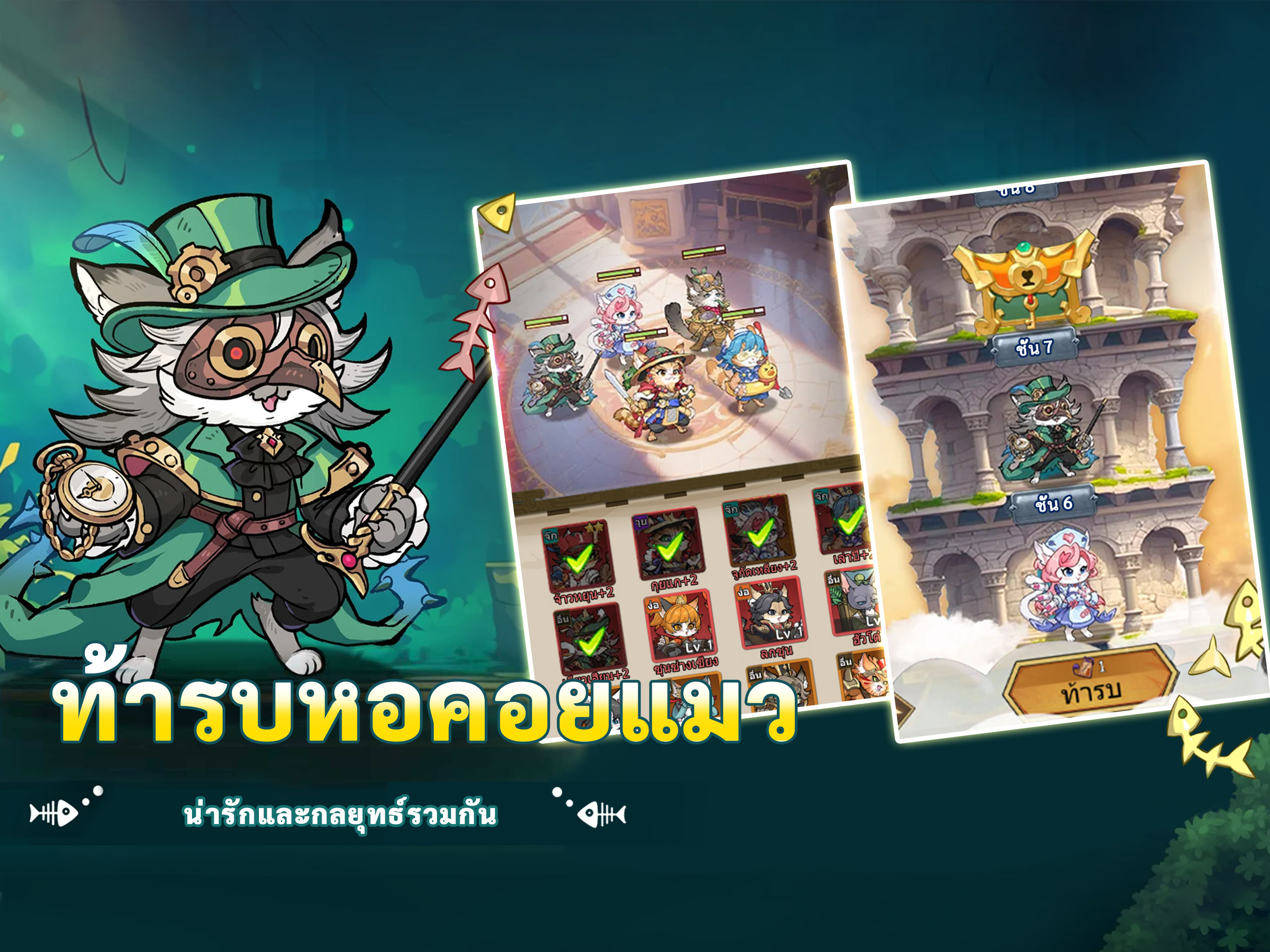 สามก๊กแมว