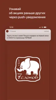 7 Слонoв айфон картинки 1