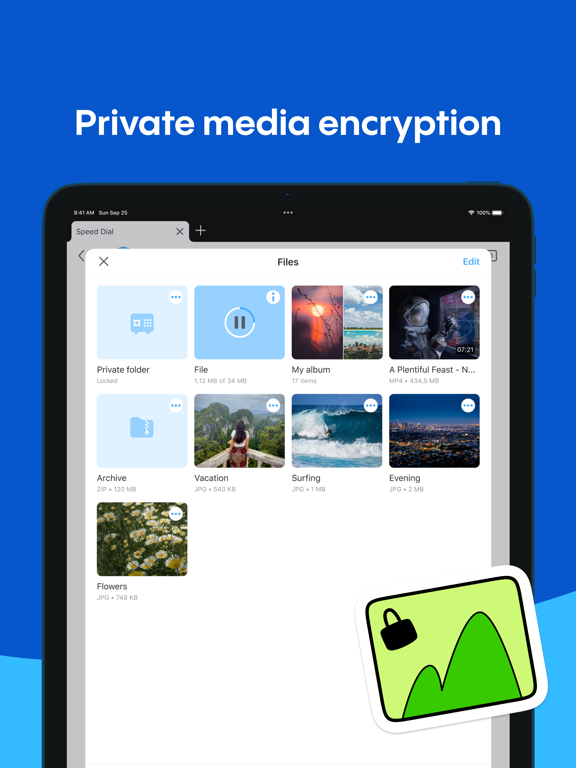 Aloha Browser - Private VPN iPad screenshot 5 - Utilities app
