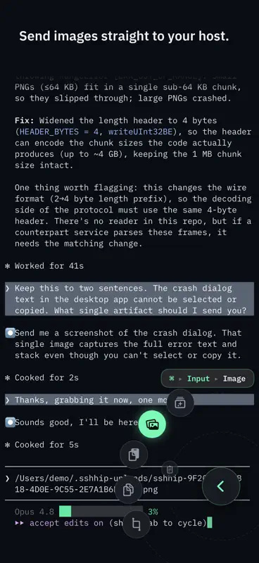 SSHHIP - Modern SSH Client screenshot 4 of 6