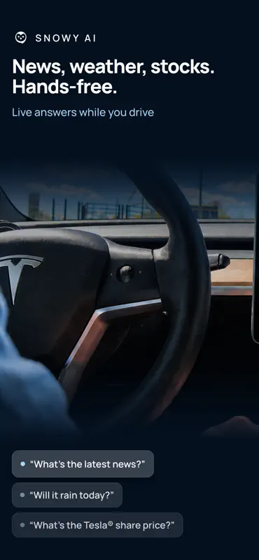 Snowy: AI Assistant for Tesla screenshot 6 of 6