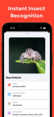 Bug Identifier! AI Scanner Screenshot 2 of 3