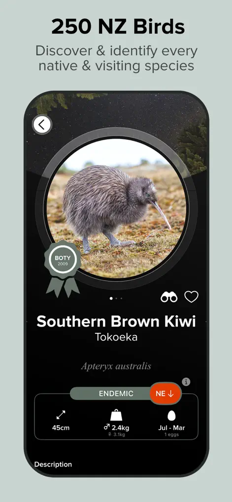 Twitcher: Birds of New Zealand - Reference App | MWM
