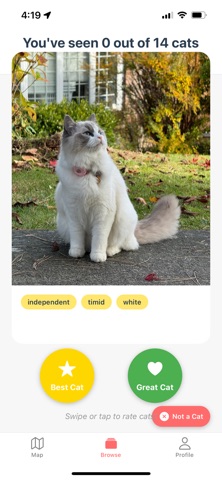 NeighborCats screenshot