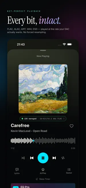 PureBit: Hi-Res Music Player screenshot 3