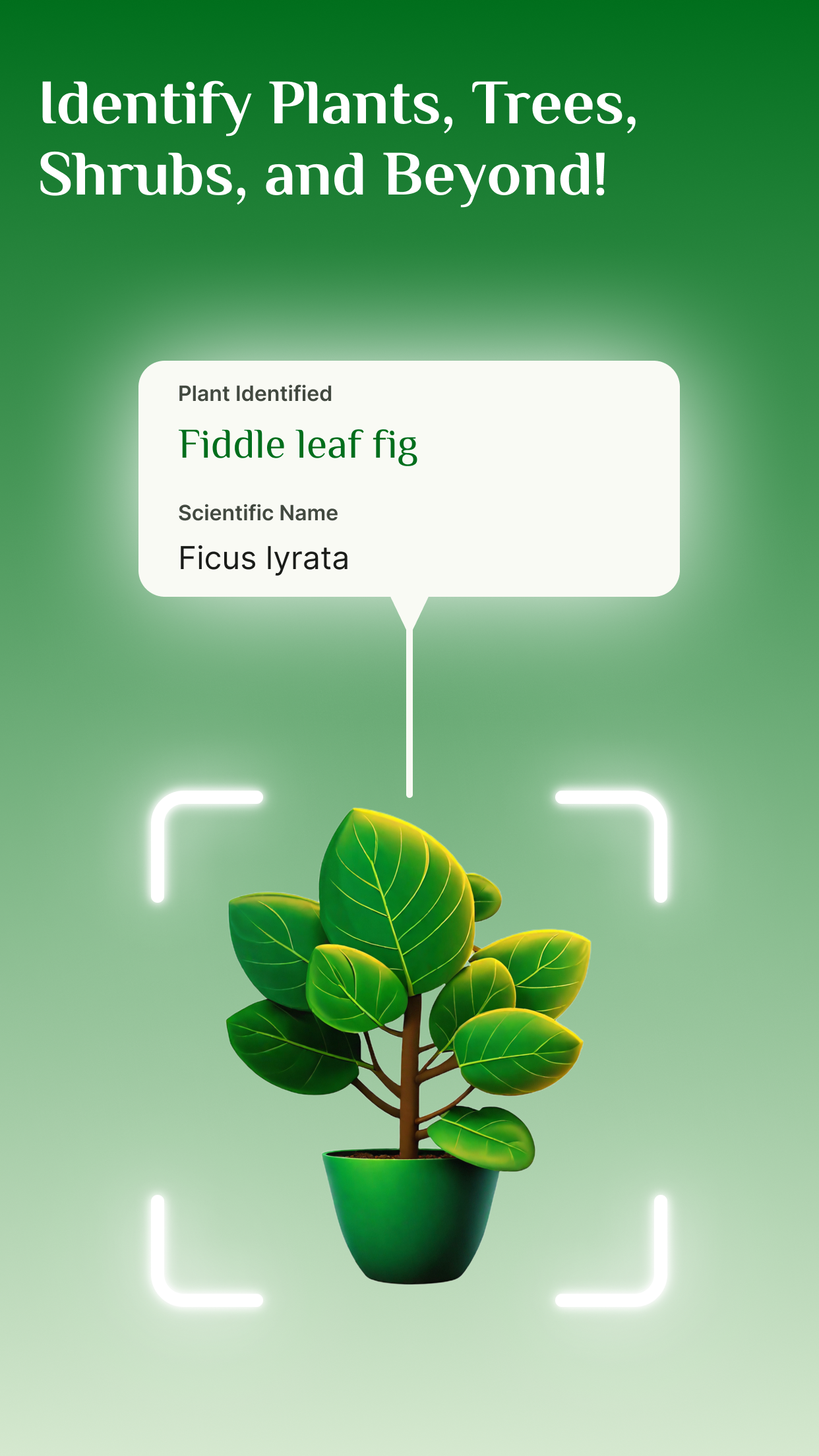 Plant Identifier, Plant Care