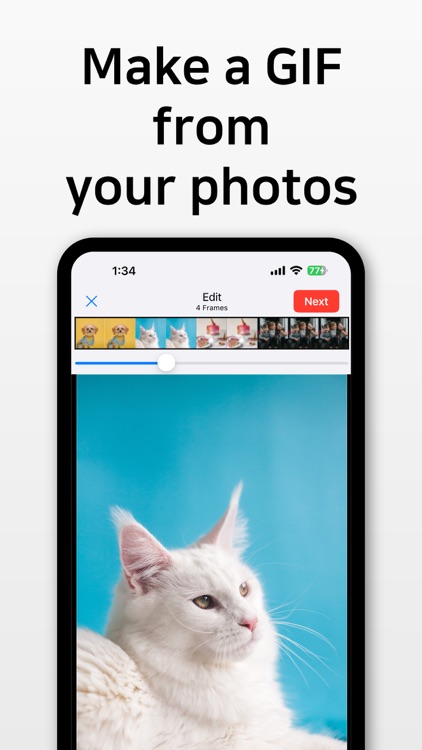 GIF Toaster - GIF Maker