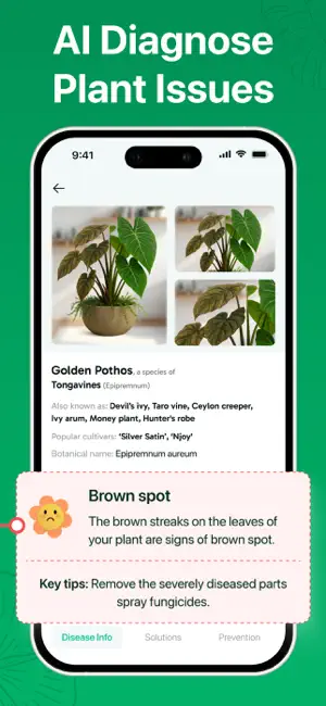 Plant ID - AI Identify Plants screenshot 3
