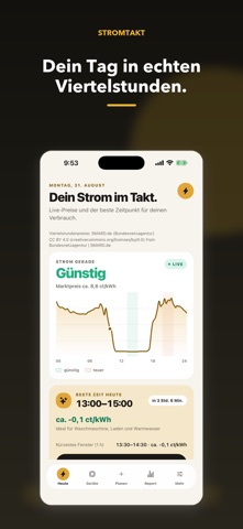 StromTakt: Dynamischer Tarif screenshot