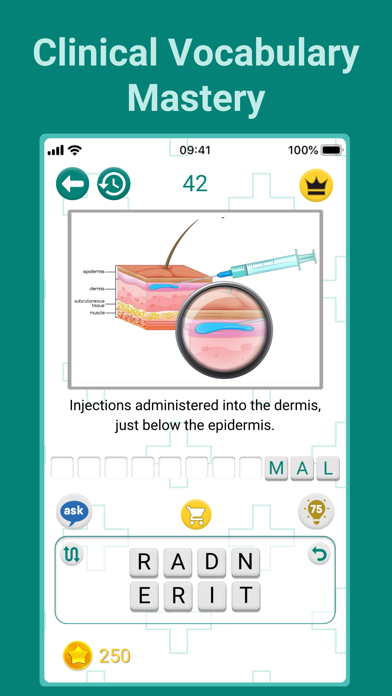 Medical Findings Screenshot