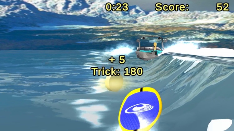 Lakesurf Balance Board