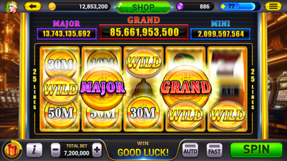 Screenshot #2 pour Golden City Casino