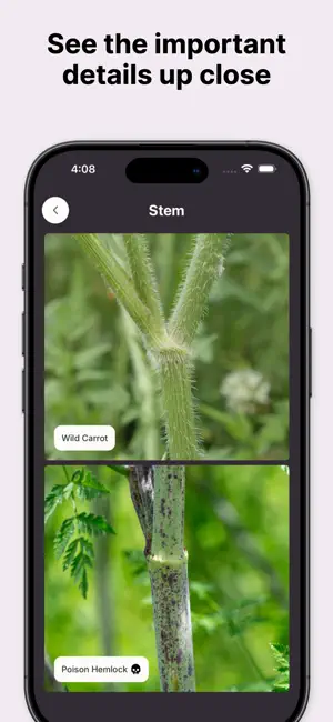 Gather: The Foraging App screenshot 3