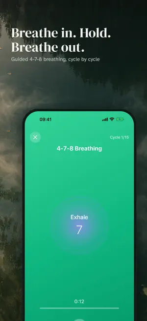 Vagus Flow: Vagus Nerve App screenshot 1