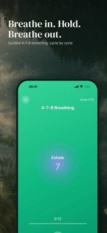 Vagus Flow: Vagus Nerve App Screenshot 1 of 6