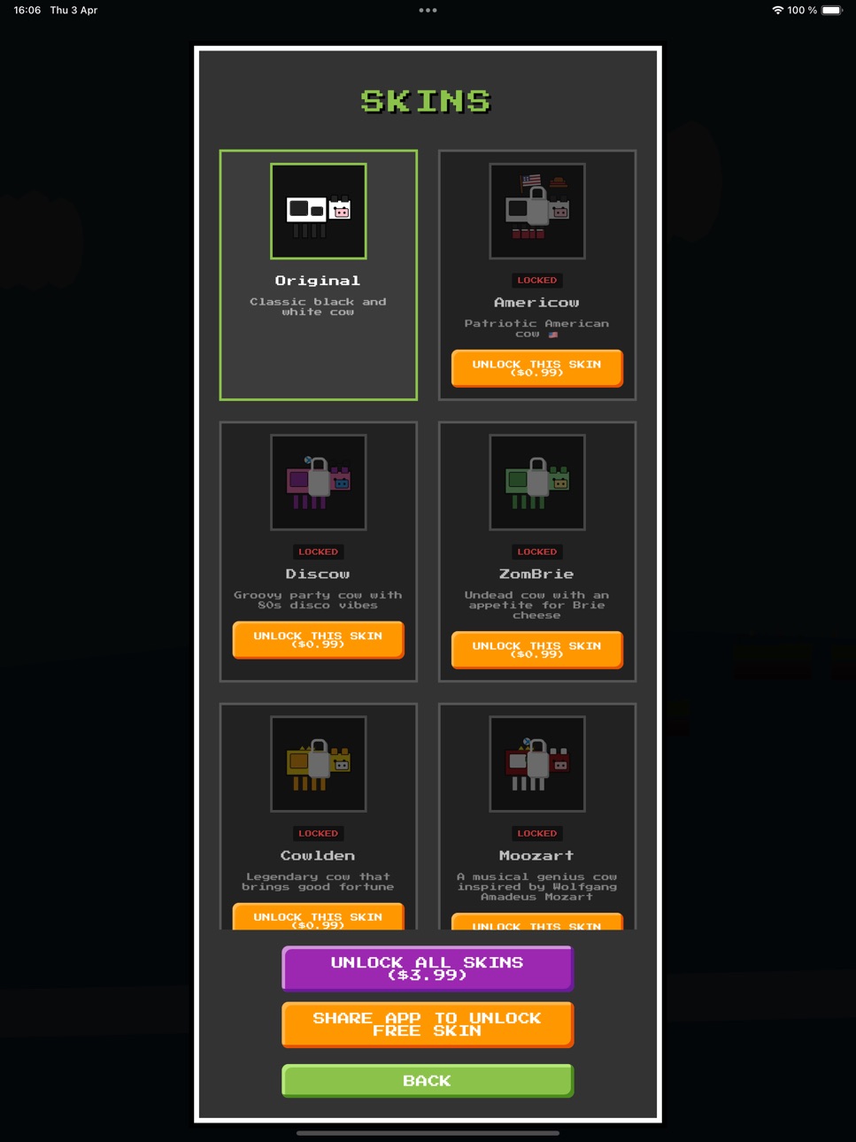 iPad screenshot