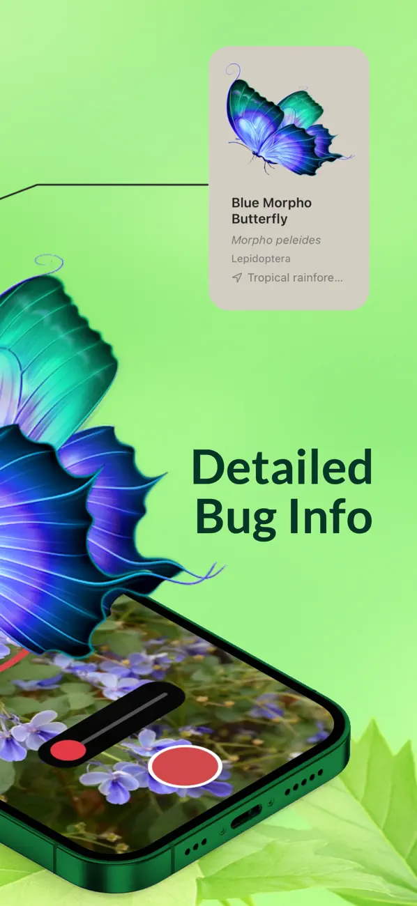 #2. Bug Scanner (iOS) Podle: Husein Hakim