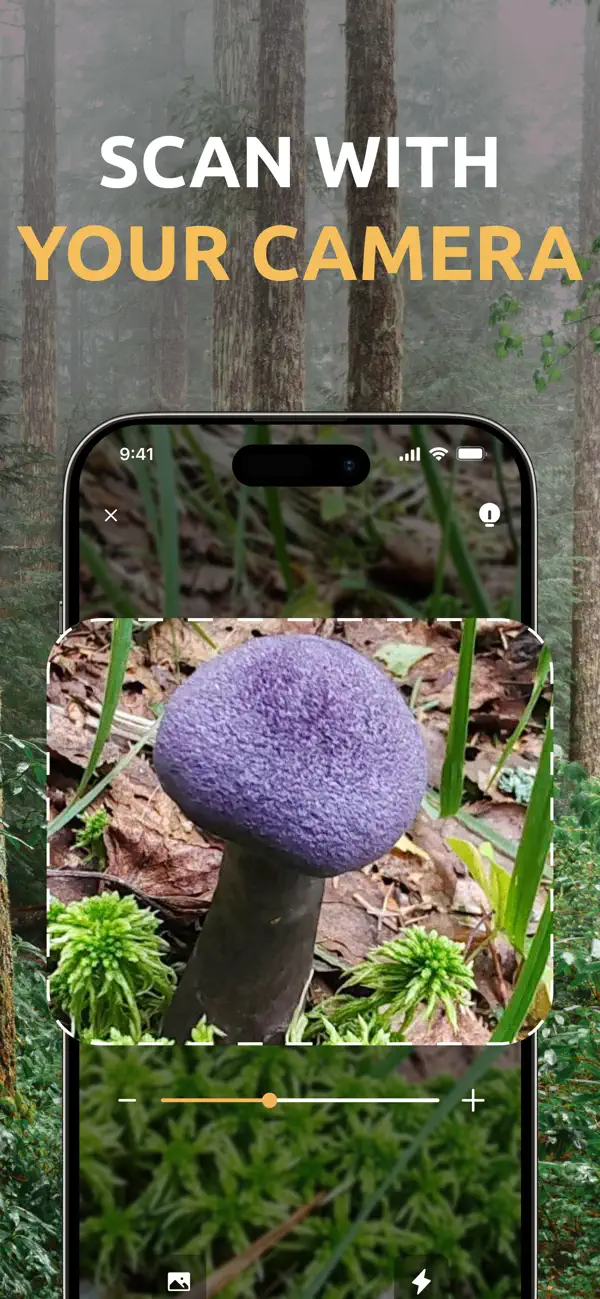 #2. Mushroom identifier: Fungi AI (iOS) By: Andrei Ivanou