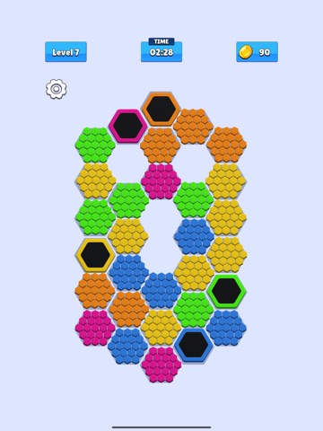 Hexa Hole Puzzle