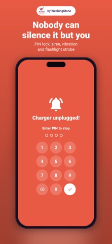 Safe Charging: Anti-Theft Screenshot 5 of 6