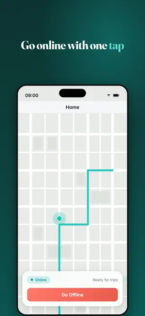 TaxiCloud Driver screenshot 2