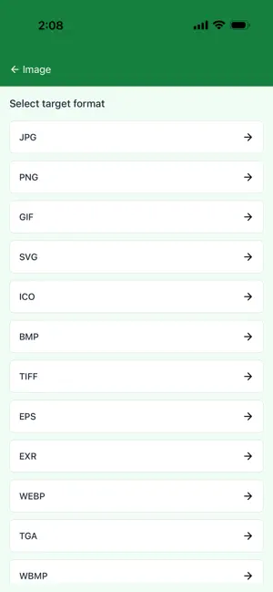 File Converter, Online-Convert screenshot 2