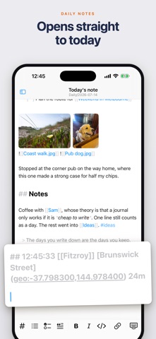 Normal Notes iPhone screenshot