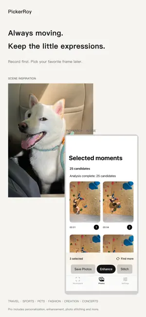 PickerRoy screenshot 2
