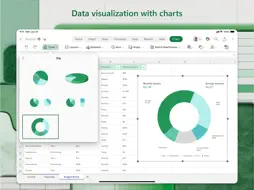 Microsoft Excel screenshot 11