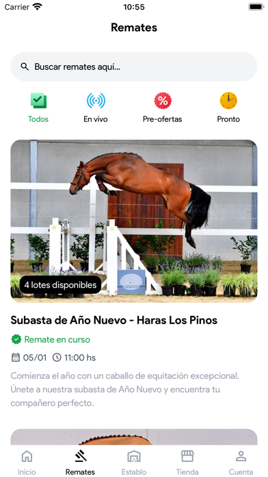 Equinomio Screenshot